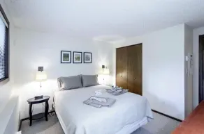 Contemporary MT BAKER Condo - Image 5