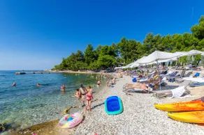 Apartments Adrian (98491-A1) - Rovinj - Image 3