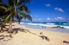 Back Packer’s Paradise - Image 3