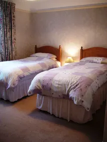 Pretty cottage with direct access to The New Forest - Image 4