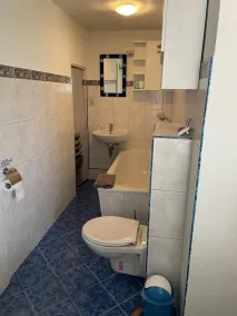 NEU Ferienhaus Altenhof Müritz - Image 2