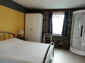 Quinta original, com uma sauna de infravermelhos, nas Ardenas reais - Image 5