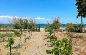 Gorgeous Home In Astros Peloponnese - Image 4