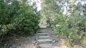 Nutley Cottage- bliss among the gum trees - Image 5