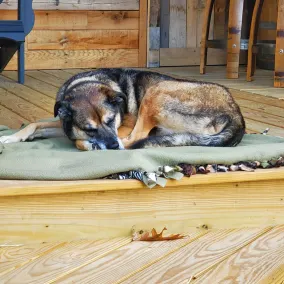 Wine and Dine Haven: Luxury Rental-Stunning Views of Keuka Lake..PET FRIENDLY - Image 2
