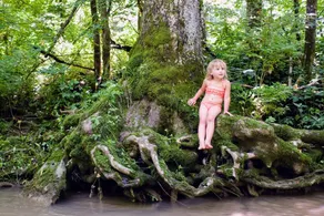 Bo i Tree House bygget af TreeHouse Master Pete Nelson ~ fra nettet - Image 2