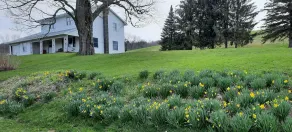 The Farmhouse, where peace and quiet awaits - Image 5