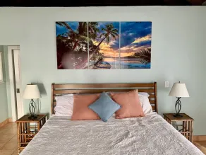 Arco Iris~3 Private King Suites, AC, Private Pool, Ocean Views, well appointed! - Image 5