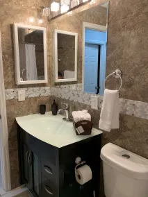 Tampa Vacation Home 7 minutes to BUSCH GARDENS - Image 5
