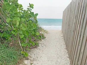 Steps To Private Beach - East of A1A -Dog Friendly - Image 4