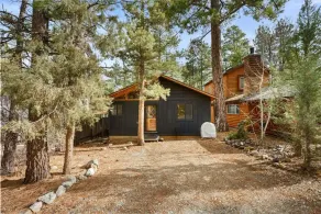 Mama Bear's Cozy Cabin - Image 5