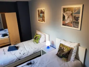 Ein großartiger Ort, um Brügge, Gent und die Küste von Flandern zu sehen - Image 5
