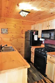 Pet friendly, hot tub, cabin - Image 5