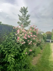 Gite avec jardin en rdc animaux admis - Image 4