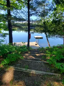 Patterson Lake - Lakeview Cottage - Waterfront! - Image 2