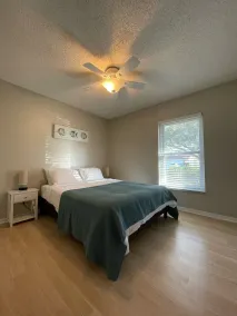 Tampa Bay Area - Image 5