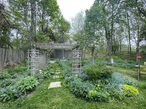Wild Divine Sanctuary: Yoga + Nature + Zen - Image 3