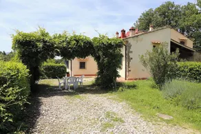 Orchidea - Image 5