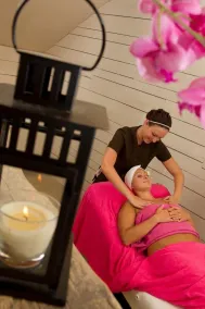 Sommerhus med spa, tyrkisk bad, sauna, indendørs opvarmet pool privatisere for dig! - Image 2