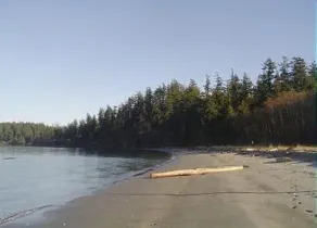 Darling New Haus am Wasser mit Blick auf Lopez Upright Beach! - Image 4