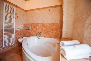 Authentic Istrian Luxury Stone Villa with Private Pool and Charming Green Garden - Image 4