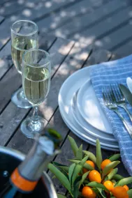 Chena Magica - Image 4