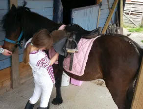 Holidays with pony rides, WiFi, TV, dishwasher, oven - Image 2