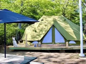 Island Tent Overlook in Maine - Image 5