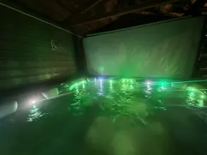 Villa bord de mer /Spa, Piscine chauffée\nVilla océan-achard-labenne - Image 2