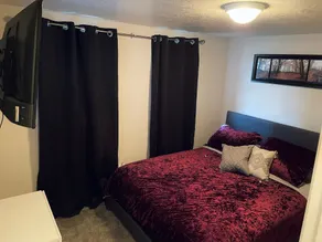 Vibrant 2 Bed Located Downtown/ Closing to Soaring Eagle/CMU - Image 5