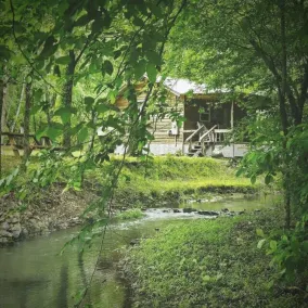 Lil' Rustic, Couples Only, Nearby Waterfalls, ATV Friendly, Hot Tub, Hiking. - Image 4