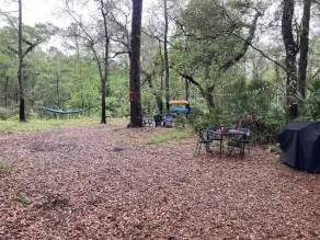 Riverside Retreat, Kayak, Swin, Fish - Image 3