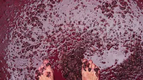 Tamar Valley Vineyard Retreat - Image 2