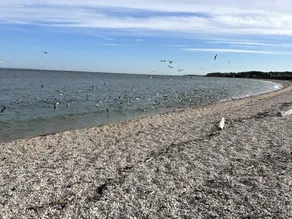 Traumhausurlaub im Long Island Sound. - Image 4