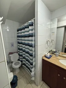 Loft in downtown Santiago - Image 2