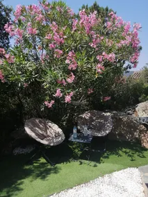 Charming studio 300 m from the beach of Santa Giulia - Image 4