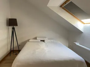 Spacious apartment/ Antwerp city center #003 - Image 3