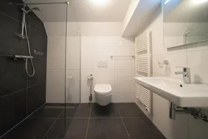 Villa with 6 bedrooms, 2 bathrooms and a terrace - Image 4