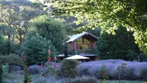 Lavender Hue Lavender Farm B&B - Image 2