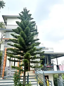 Ekantam Resort - Image 4