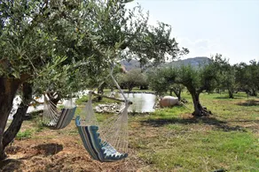 Apartment Levante, Carefree stay on a private farm, 1 km away from the beach - Image 5