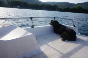 Villino indipendente con spiaggia privata sul lago - Image 2