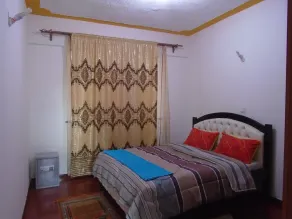 Beautifully furnished 2 bedroom Apartment in Nairobi - Image 5