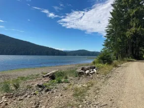 Ocean Front wilderness Cabin, brand new - Spa bathroom, fully equipped Kitchen - Image 4