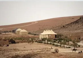 The Original Camp - Image 3