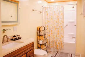 Cozy little house blocks from the Park & Fair Grounds. - Image 4