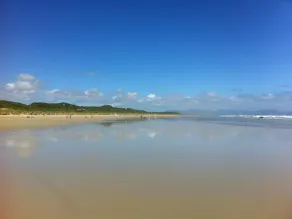 Myrtles, Sandy Point. - Image 2