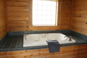 Lone Jack Cabin - Studio Suite - Image 2