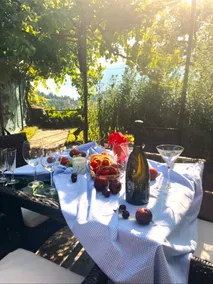 Magnificent Villa with gardens and terrace overlooking the lake. Barbecue - Image 2