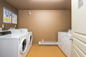 Newly Renovated Ground Floor Creekside Studio Condo - Pet Friendly too! - Image 2